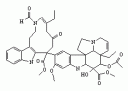 catherine - the molecule